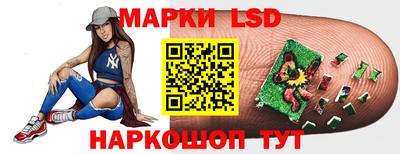 индика Рузаевка