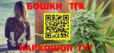 индика Рузаевка
