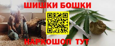 индика Рузаевка