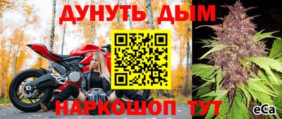 сатива Рыбинск
