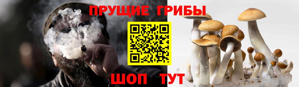 Галлюциногенные грибы Cubensis  купить наркотики цена  Вход с VPN  Семилуки  Псилоцибиновые грибы ЛСД 